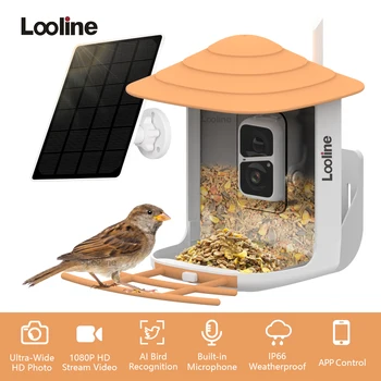 Умная камера для кормления птиц с солнечной панелью, Беспроводная камера для наблюдения за птицами 1080P HD, Автоматическая съемка Видео с птицами, Обнаружение движения